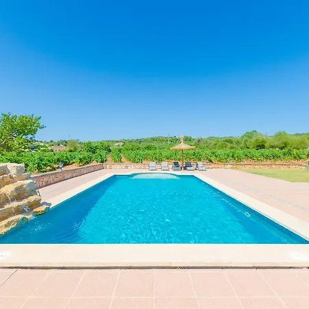 Palleta Villa *